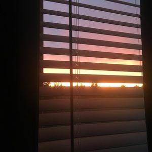 Meet your Posher, Lilly